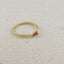 18kGold Filled Birthstone Rings