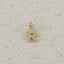 18k Gold filled Micro CZ Initial Letter Charm
