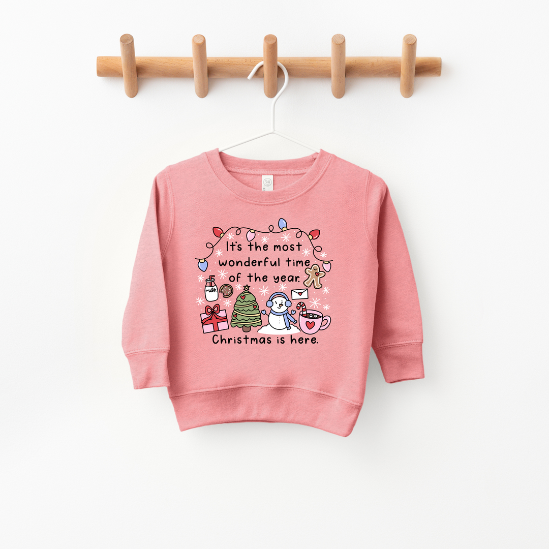 Most Wonderful time of the Year Sweatshirt