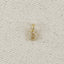 18k Gold filled  Micro CZ Initial Letter Charm