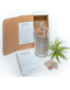 Harmony Apothecary Jar Clear W/ Silver Block