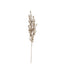 Champagne Glitter Eucalyptus Stem