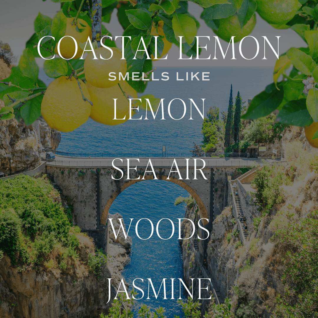 Coastal Lemon Hanging Air Freshener