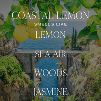 Coastal Lemon Hanging Air Freshener