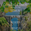 Coastal Lemon Hanging Air Freshener