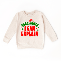Dear Santa I can explain!