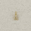 18k Gold filled  Micro CZ Initial Letter Charm