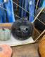 Handcrafted Terracotta Pumpkins