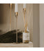 Clear Reed Diffuser
