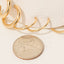 3Pc Dainty Tube Hoop Earrings Set: RH
