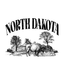 North Dakota Buffalo - Ready To Press Design - Shirt Not Included
