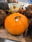 Large Pumpkin