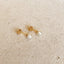 18k Gold Filled Simulated Pearl Stud