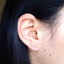 Curve CZ Diamond Screw Back Earrings: Yellow Gold