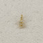 18k Gold filled  Micro CZ Initial Letter Charm