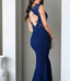 Navy Sleeveless Lace Bodycon Dress