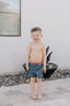 Stars and Stripes Swim Shorts