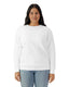 Comfort Colors Lightweight Adult Crewneck Sweatshirt