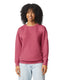 Comfort Colors Lightweight Adult Crewneck Sweatshirt