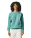 Comfort Colors Adult Crewneck Sweatshirt