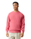 Comfort Colors Adult Crewneck Sweatshirt