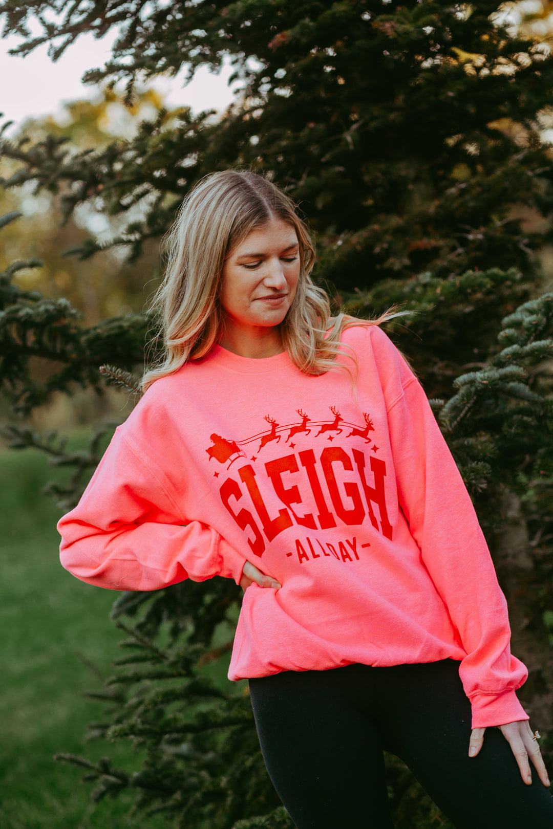 Sleigh All Day Crewneck Sweatshirt