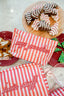 My Goodies - Pink & Red Stripes Clear Coat Bag
