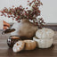 Cashmere and Vanilla Soy Candle - Cement Pumpkin Jar - 13.5 oz
