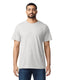 Heavy Cotton Adult T-Shirt