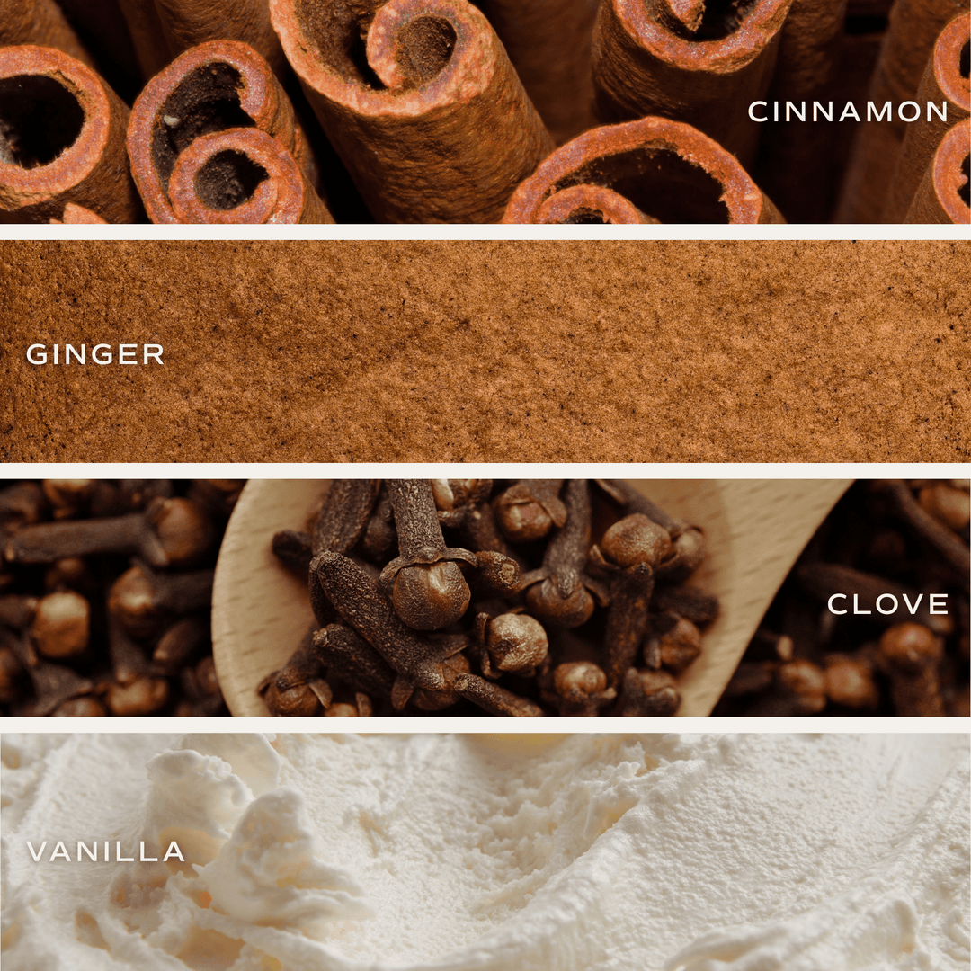 Gingerbread and Spice Soy Candle - White Jar - 11 oz