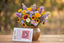 Monarch Butterfly Wildflower Seeds Plantable Art
