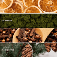 Holiday Soy Candle - Amber Jar - 9 oz