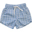 Light Blue Gingham Swim Shorts