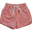 Gingham Swim Shorts