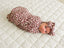 Antique Floral Ribbed Bamboo Stretch Swaddle