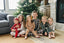 Green Nutcracker Bamboo Cozy Set
