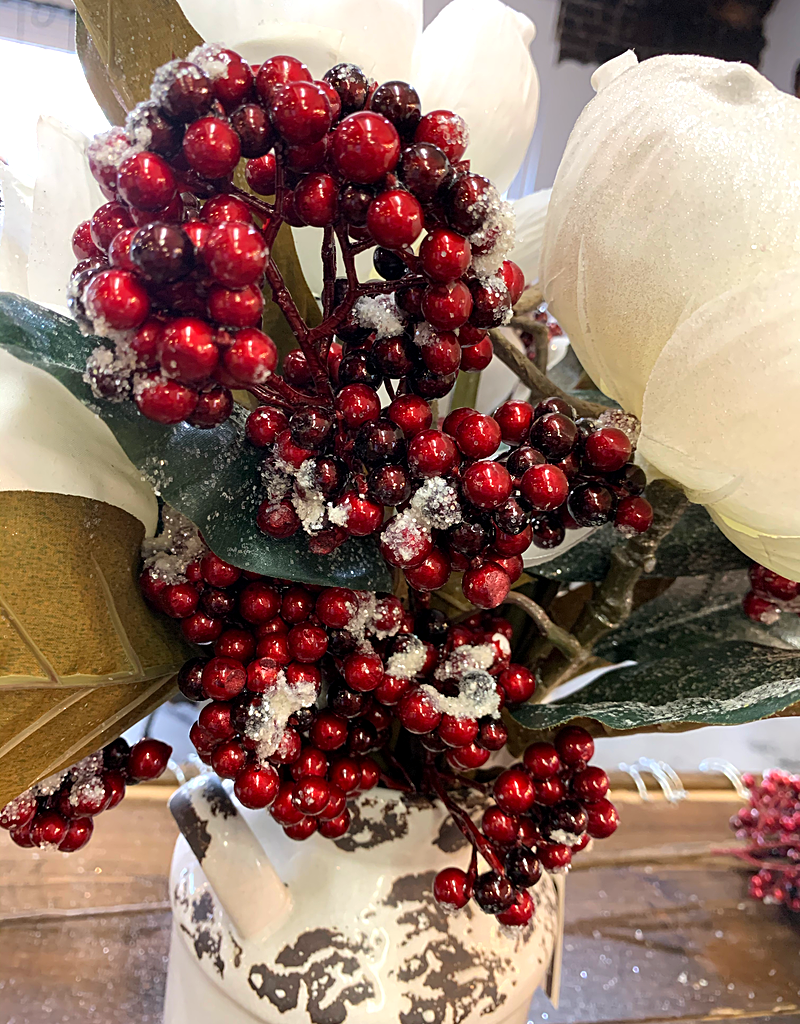 Frosted Berry Sticks