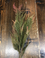 Evergreen Leaves