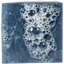 Dr Squatch Bar Soap - Fresh Falls