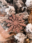 Pink Glitter Snowflake