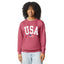 Vintage USA Patriotic Lightweight Crew