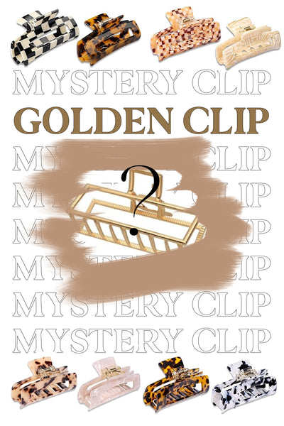 Mystery Hair Clip