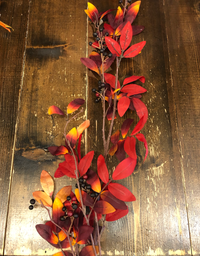 Fall Leaves w/ Berries